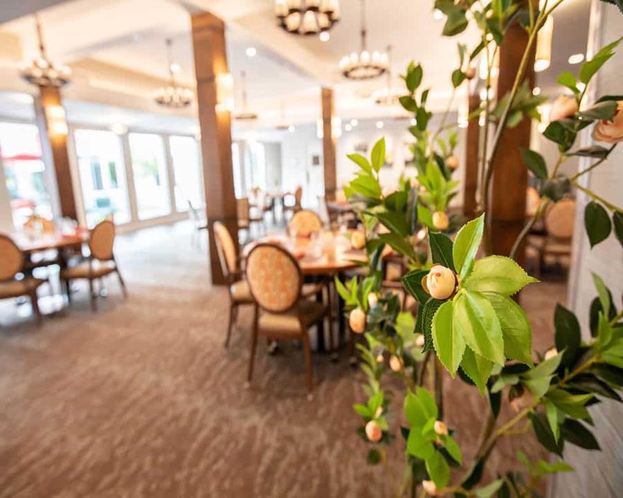 Eternal Spring of Gilbert September 2023 Pricing (UPDATED)