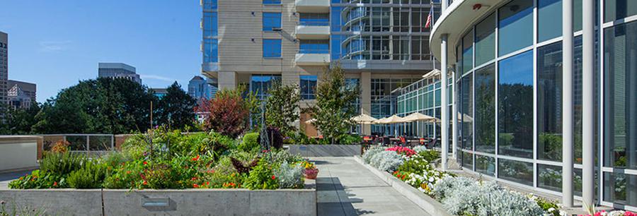 Terraces At Skyline